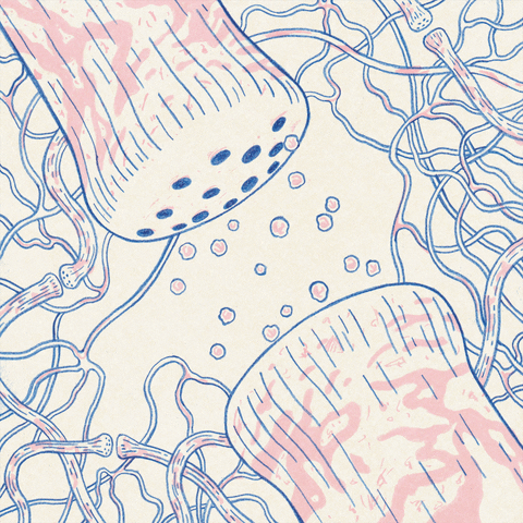 Synaptic Pink And Blue GIF oleh palerlotus - Temukan & Bagikan di GIPHY