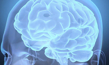 Otak Neuroscience GIF oleh University of California - Temukan & Bagikan di GIPHY