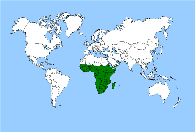 Wilayah biogeografis dunia dan karakteristiknya