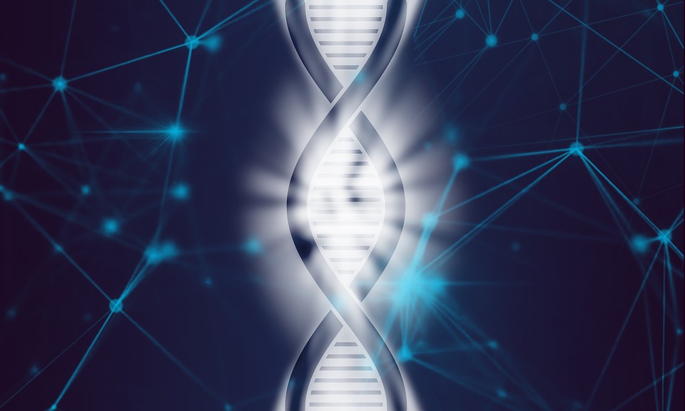 DNA rekombinan: teknik, aplikasi, dan dasar-dasar