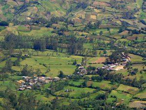 Flora Cajamarca: Fitur Paling Penting