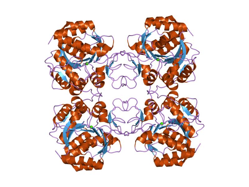 Pecaralan grafis dengan alat bioinformatika dari struktur hidrolase (Sumber: Jawahar Swaminathan dan staf MSD di European Bioinformatics Institute [Domain publik] Via Wikimedia Commons)