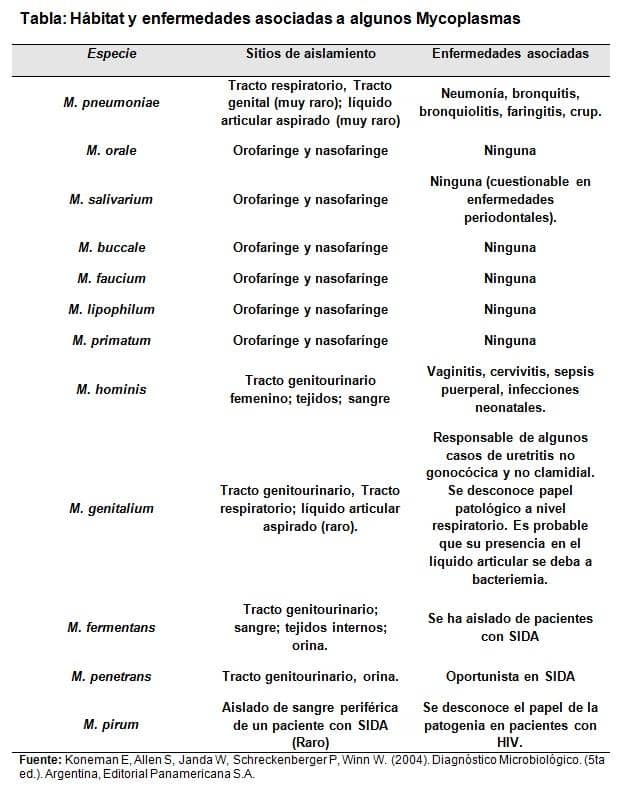 Mycoplasma: karakteristik, taksonomi, morfologi, gejala
