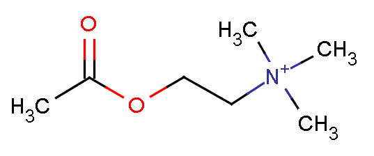 asetilkolin