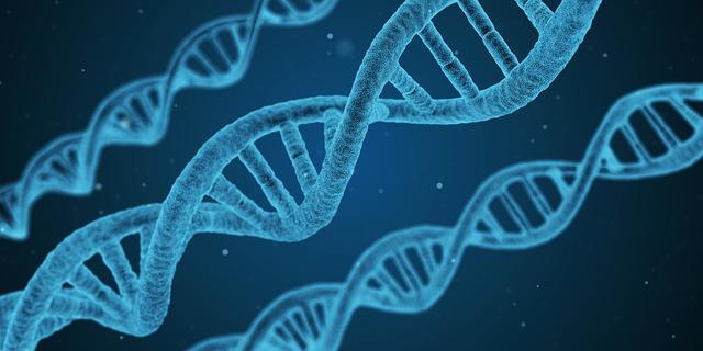 DNA merupakan salah satu molekul vital dalam tubuh manusia.  Bersama dengan RNA ia melakukan fungsi penting.