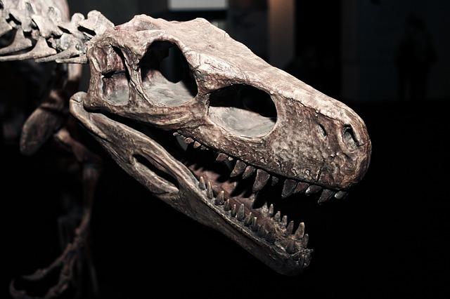 Hasil gambar untuk Paleontology lifeder