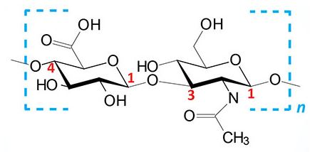 glikosaminoglikan