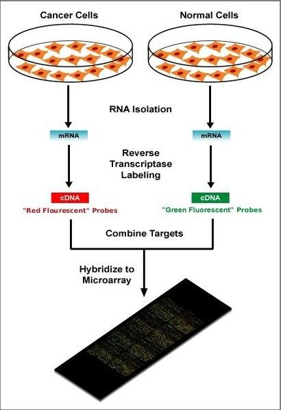 DNA microarrays: prosedur dan aplikasi