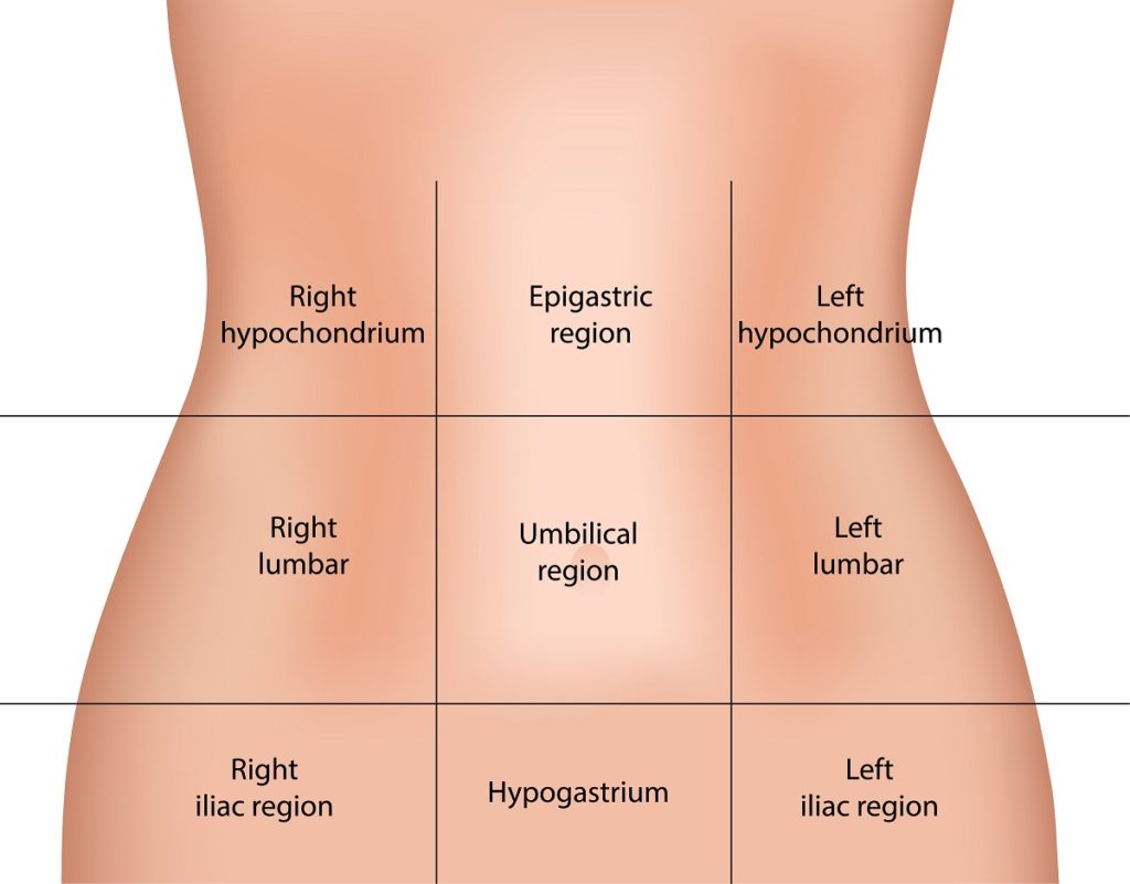 Anatomi topografi