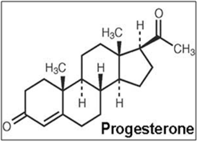 Struktur kimia Progesteron 