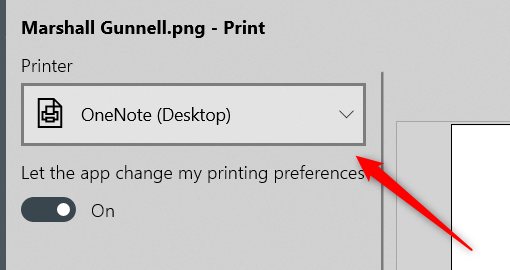 Klik kotak di bawah opsi "Printer".
