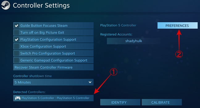 Pilih Pengontrol PS5 dan klik Preferensi
