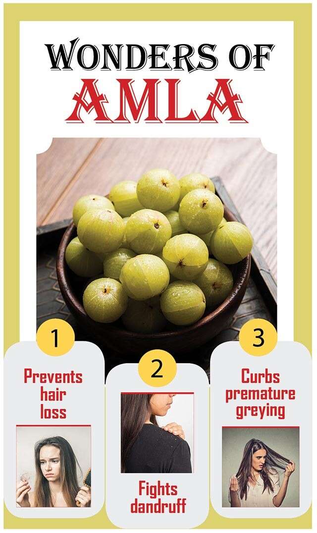 Infografis Amla untuk Pertumbuhan Rambut