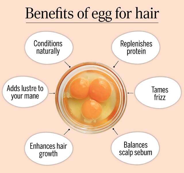 Manfaat Telur untuk Rambut