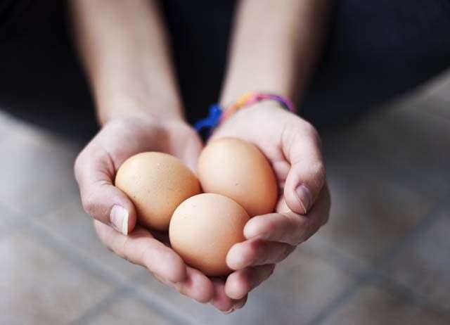 Manfaat Telur untuk Rambut Menambah Kilau pada surai Anda