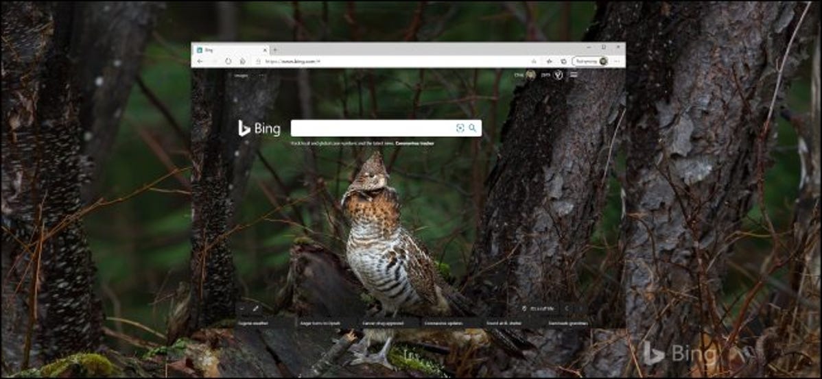 Latar belakang harian Bing di browser dan desktop Windows 10.