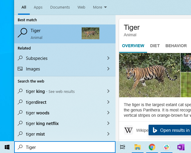 Pencarian Bing menampilkan informasi tentang harimau di menu Mulai Windows 10.