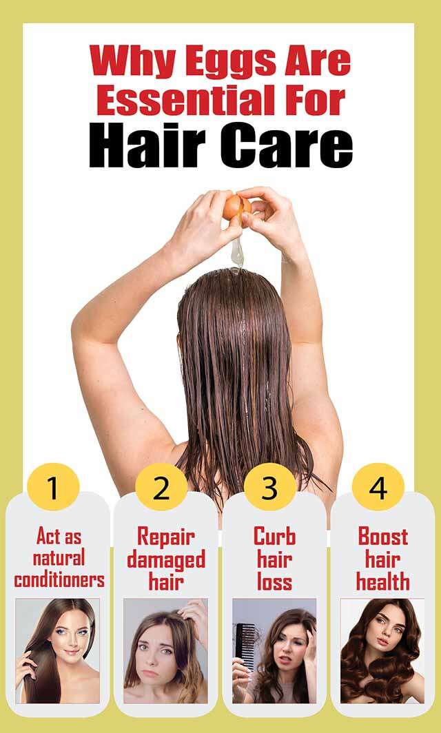 Telur Sangat Penting Untuk Infografis Perawatan Rambut