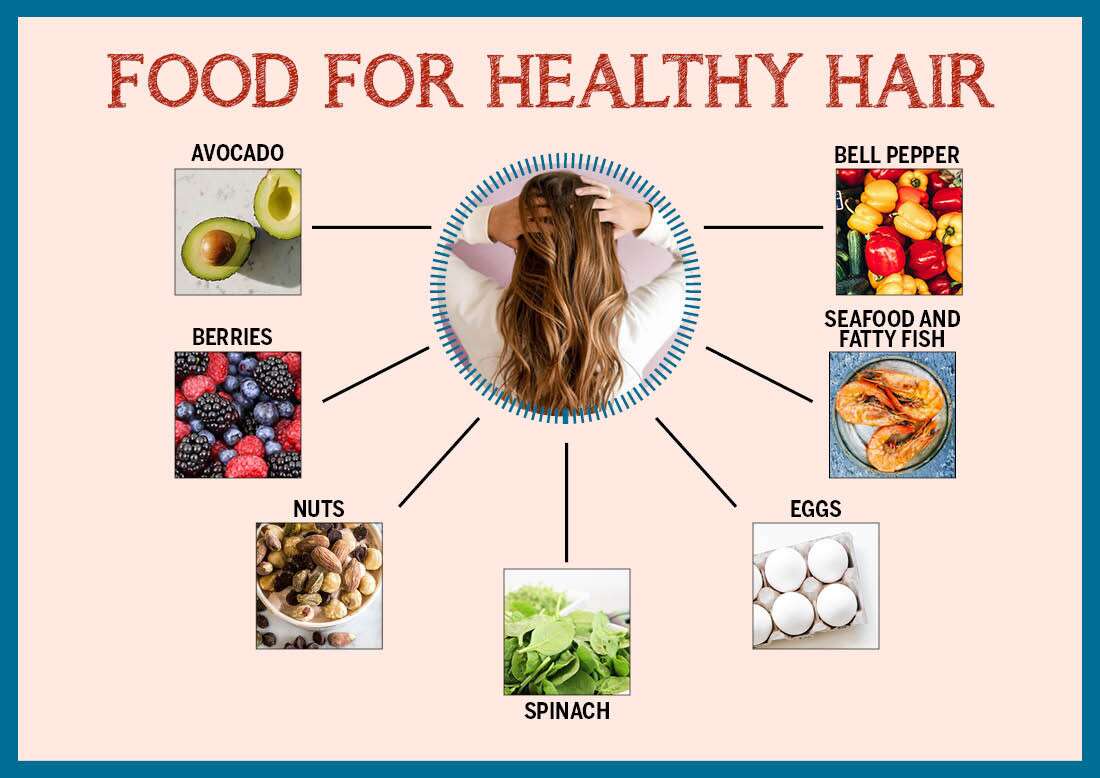 Infografis Makanan Untuk Rambut Sehat
