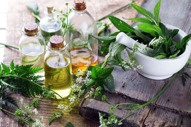 Minyak Rambut Buatan Rumah: Minyak Herbal