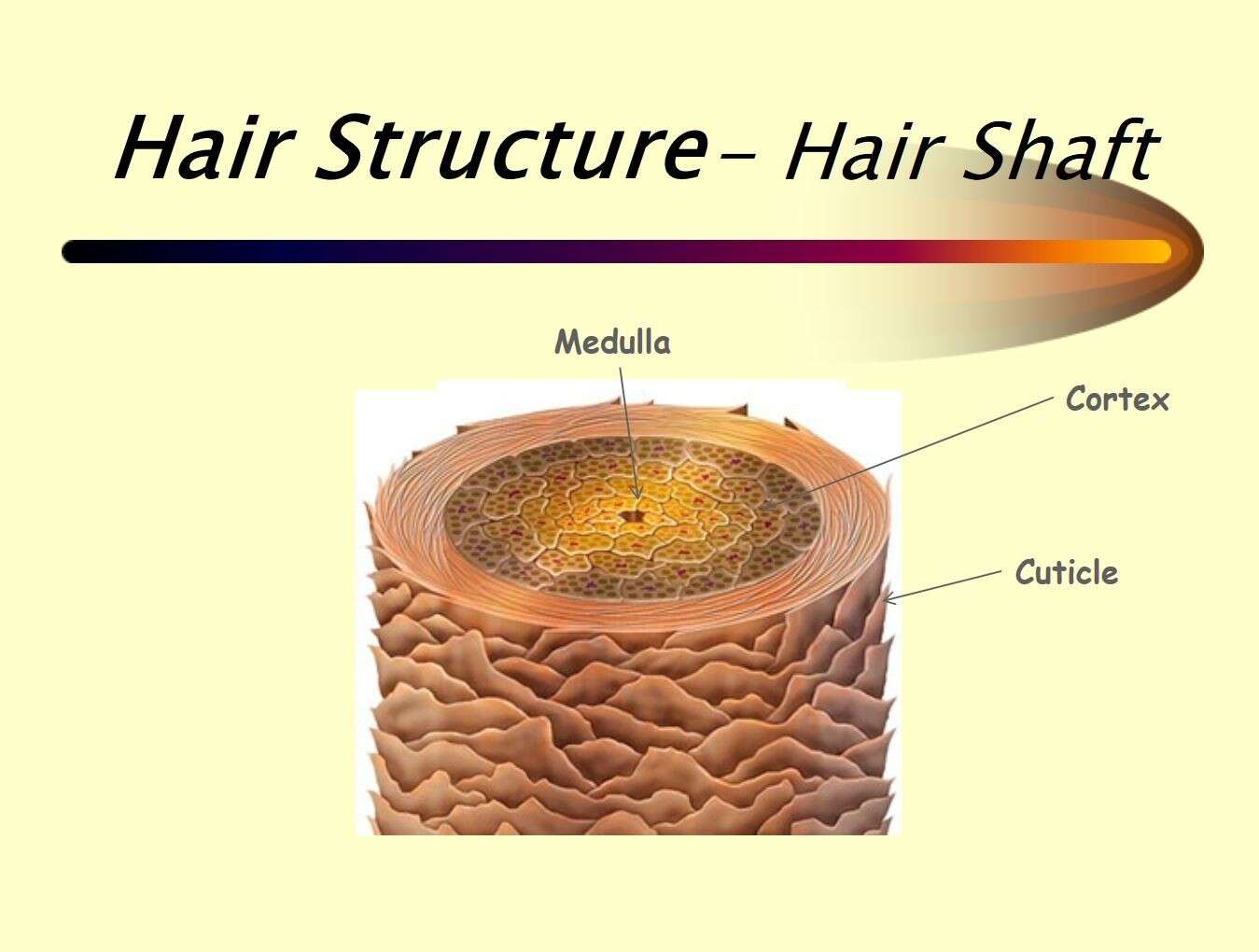 Gaya Rambut untuk Anak Perempuan dengan Struktur Rambut Panjang