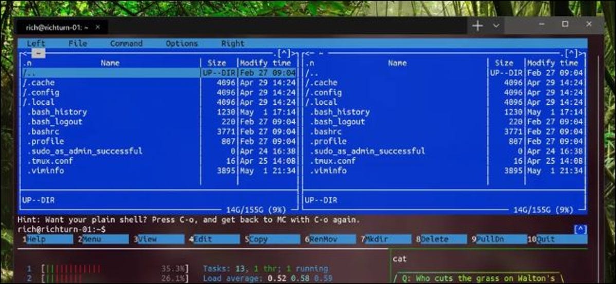 Terminal Windows baru menampilkan aplikasi Linux