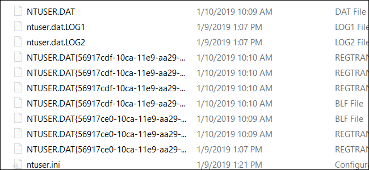 Jendela File Explorer menampilkan file NTUSER.DAT