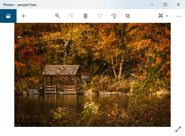 File HEIC ditampilkan di aplikasi Foto Windows 10.