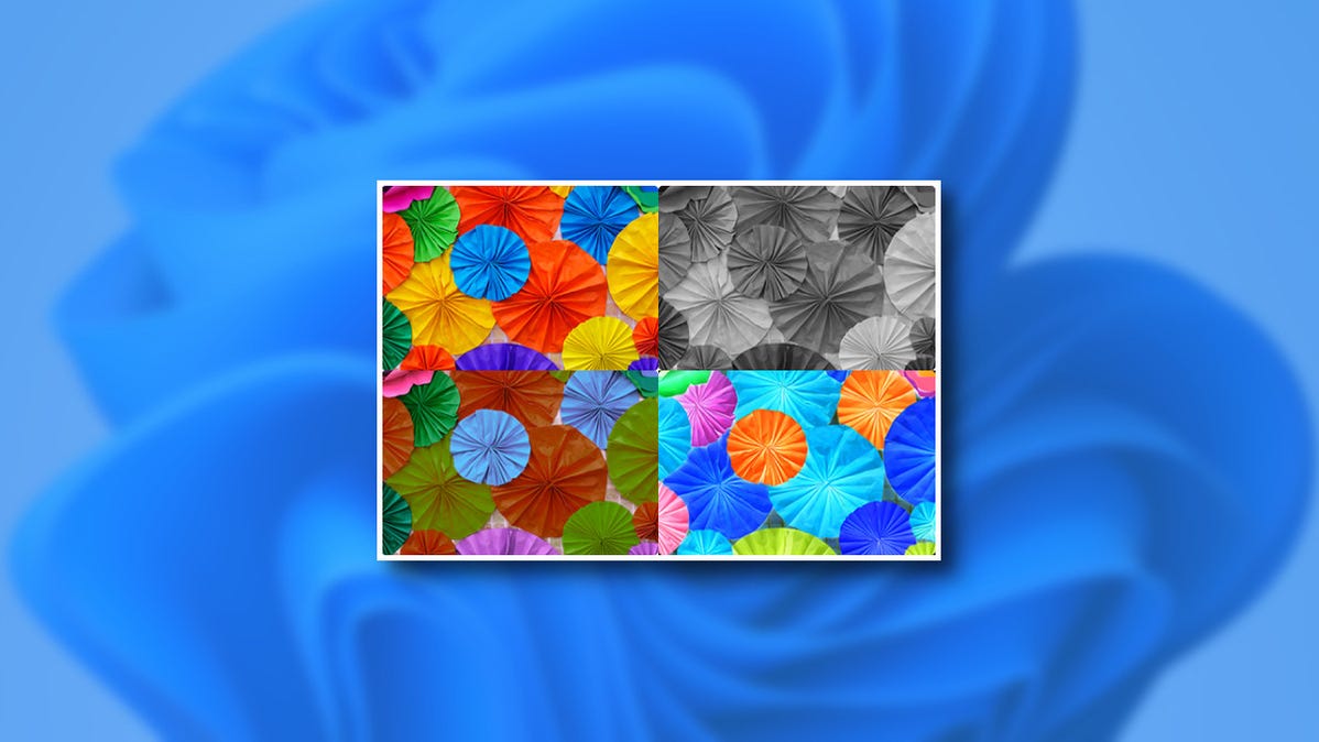 Contoh Gambar Filter Warna Windows 11