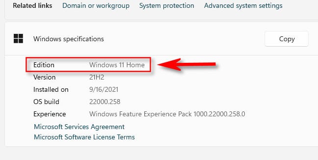 Di "Spesifikasi Windows", Anda akan melihat edisi Windows Anda tercantum setelah "Edisi".