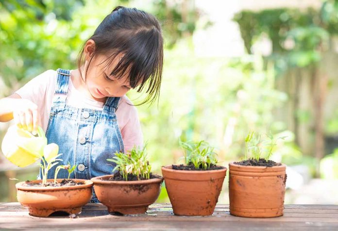 Informasi Menarik Tentang Bagian Tumbuhan untuk Anak
