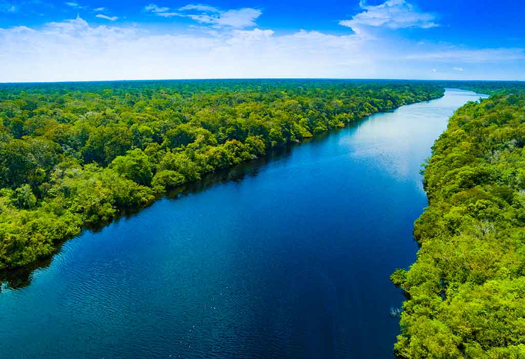 Fakta Menarik Tentang Sungai Amazon untuk Anak-Anak