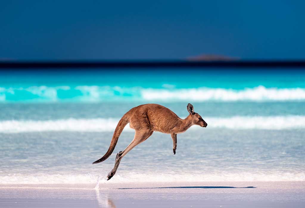 Hewan Australia