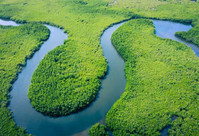 Fakta Menarik Sungai Amazon Untuk Anak-Anak