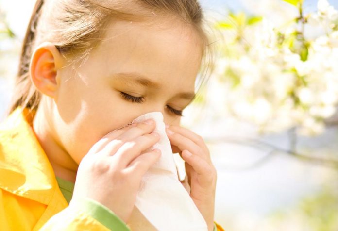 Hay Fever (Rhinitis Alergi) pada Bayi dan Anak