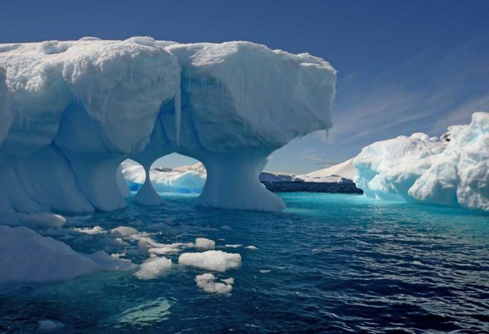 Fakta Menarik Tentang Antartika untuk Anak