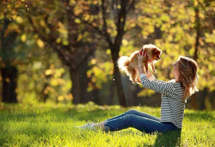 Trah Anjing Kecil Terbaik yang Akan Tetap Berukuran Anak Anjing Selamanya