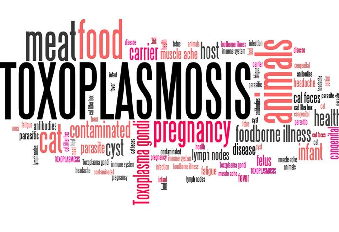 Toksoplasmosis dalam Kehamilan: Penyebab, Gejala & Risiko