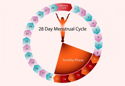 Memahami Siklus Menstruasi Anda