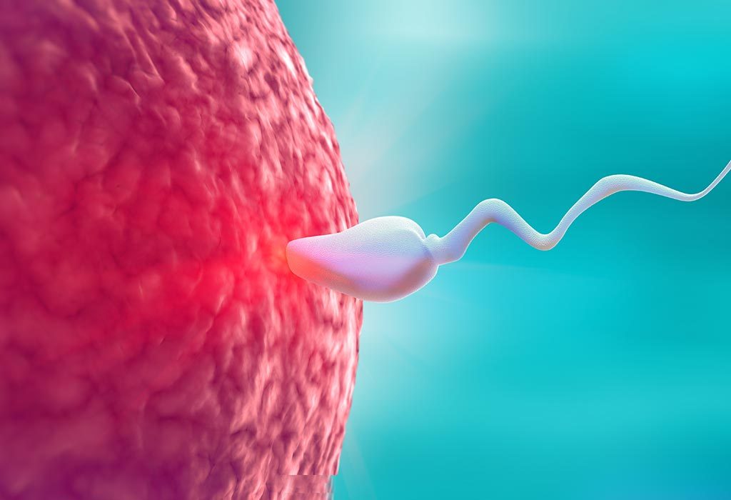 Bagaimana Motilitas Sperma Rendah Didiagnosis?