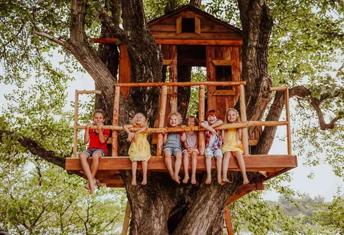 anak-anak di rumah pohon
