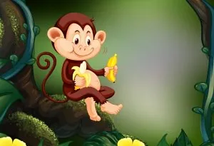 monyet makan pisang