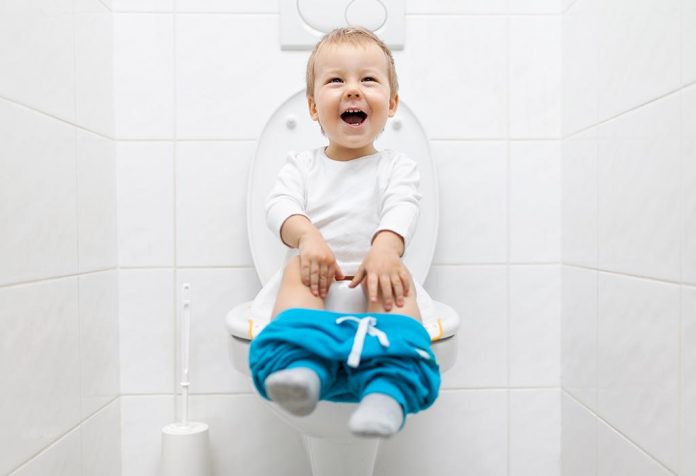 Ulasan: Babyhug Cushioned Potty Training Seat dengan Pegangan untuk Balita