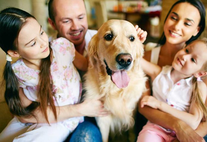 Tips Perawatan Anjing Penting untuk Menjaga Hewan Peliharaan Anda Sehat, Bahagia, dan Aman