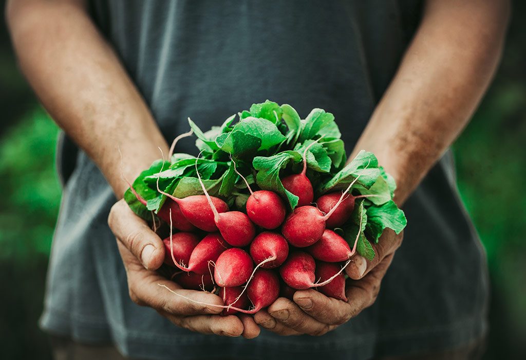 makanan organik lebih bergizi daripada yang non organik