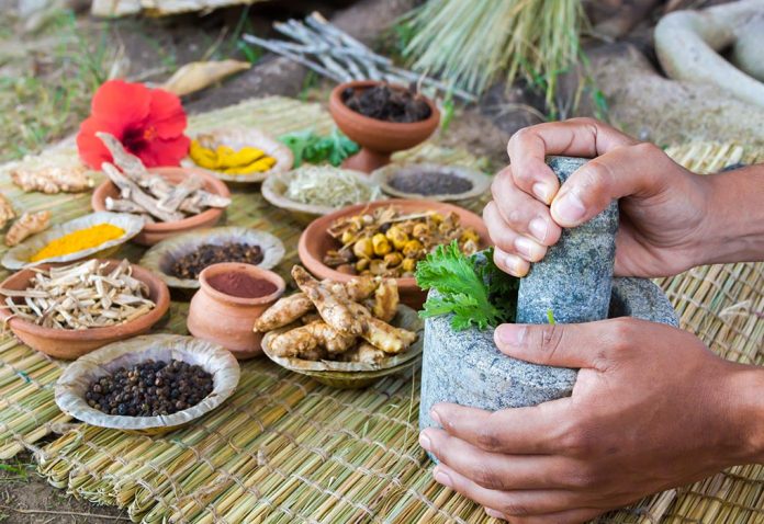 Pengobatan Ayurveda untuk Meningkatkan ASI - Herbal untuk Meningkatkan Laktasi