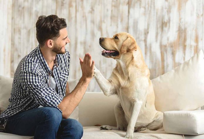 9 Cara Mengadopsi Anjing Akan Memperkaya Hidup Anda
