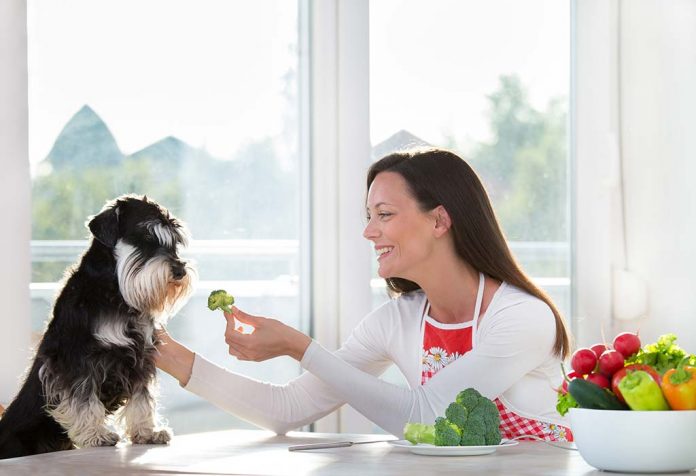 10 Sayuran dan Buah Sehat untuk Anjing