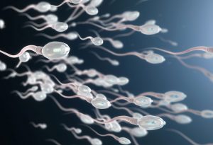 Aglutinasi Sperma