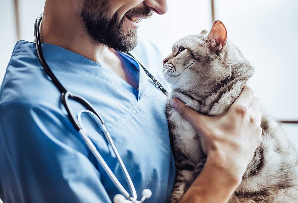 Dokter hewan dengan hewan peliharaan
